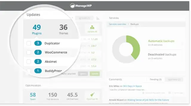 ManageWP dashboard displaying plugin and theme updates, automatic backup status, and optimisation metrics - demonstrating essential website maintenance and support tasks.