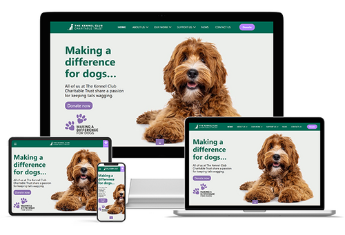 Responsive website design for The Kennel Club Charitable Trust, displayed on desktop, laptop, tablet, and smartphone devices. The site features a friendly, pet-focused layout with a clear call-to-action, optimised for accessibility and engagement across a