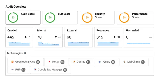 Top section of an SEO audit report showing key scores: Audit Score (93), SEO Score (96), Security Score (89), and Performance Score (88). It indicates 445 URLs crawled, with 70 internal, 60 external, and 315 resources detected. No uncrawled URLs.